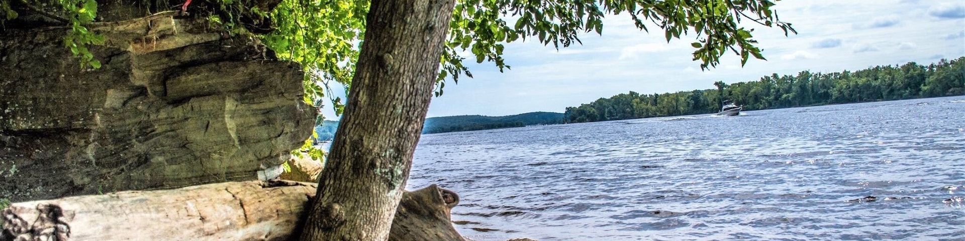 The shoreline is incredible at this place!!! Connecticut River!! Nice place to easy hike.. swim..sunbathe and picnic! Wonderful find!
