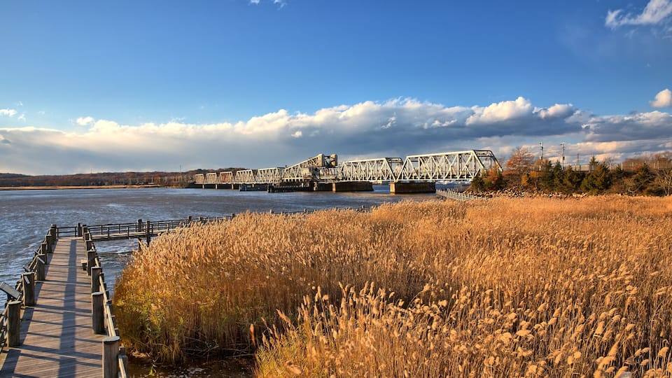 A wooden pier leading to a bridge over a river, surrounded by golden reeds and a clear sky.