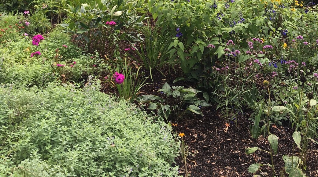 #artistcolony #americanimpressionism