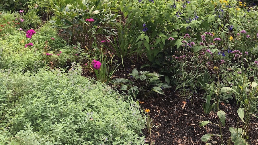 #artistcolony #americanimpressionism