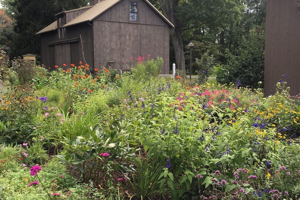 Un jardín con un cobertizo de madera y una variedad de flores coloridas.