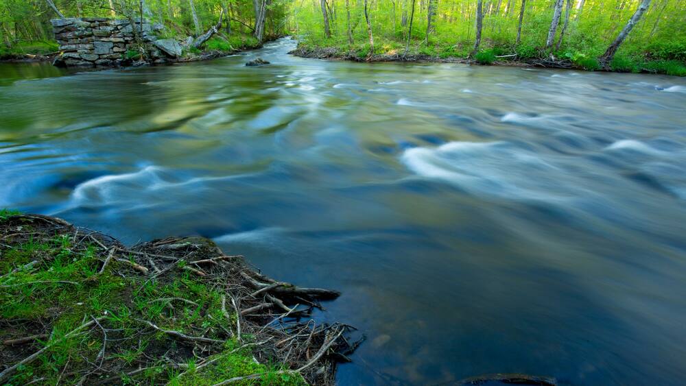 Willimantic River in the Kollar WMA of Tolland, Connecticut.