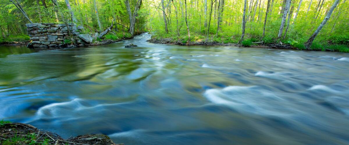 A flowing river with a stone structure on the left, surrounded by lush greenery and trees.