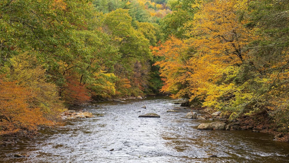 Autumn on the Shepaug River