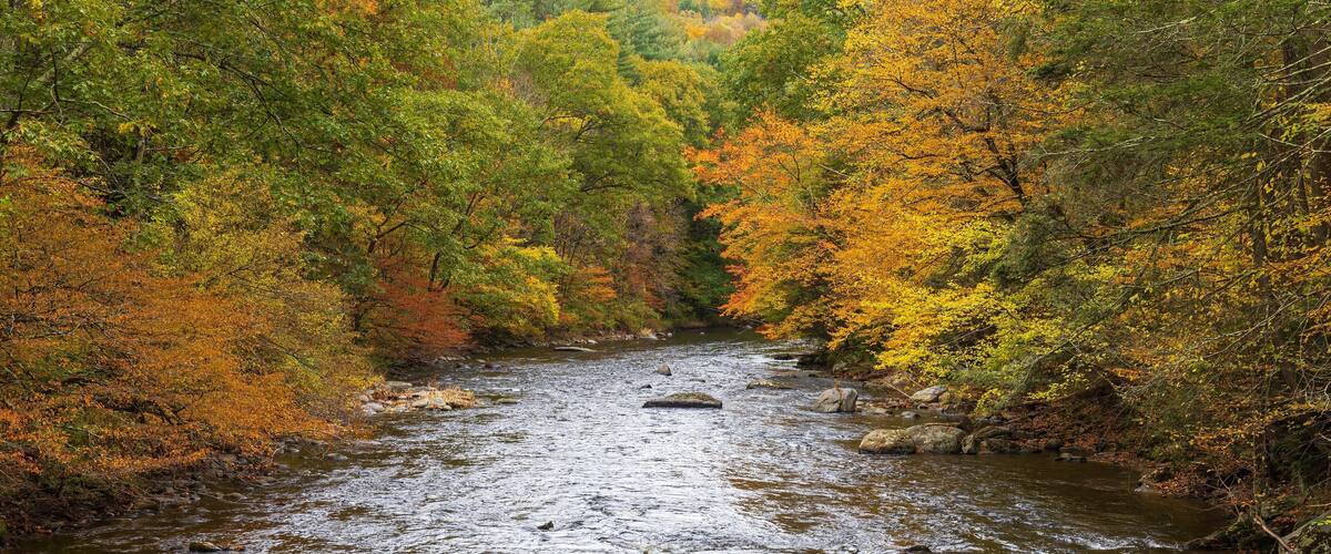 Autumn on the Shepaug River