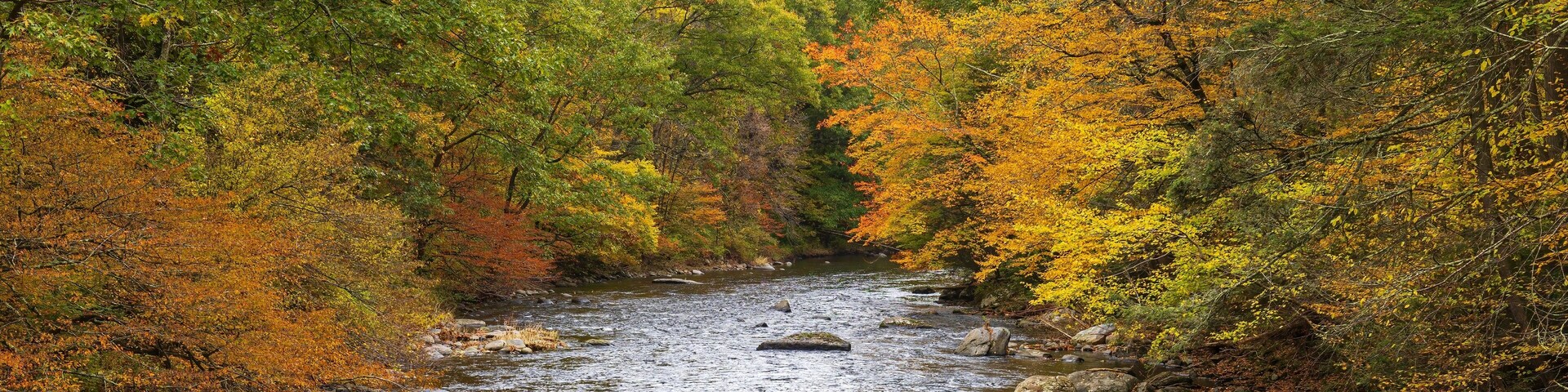 Autumn on the Shepaug River