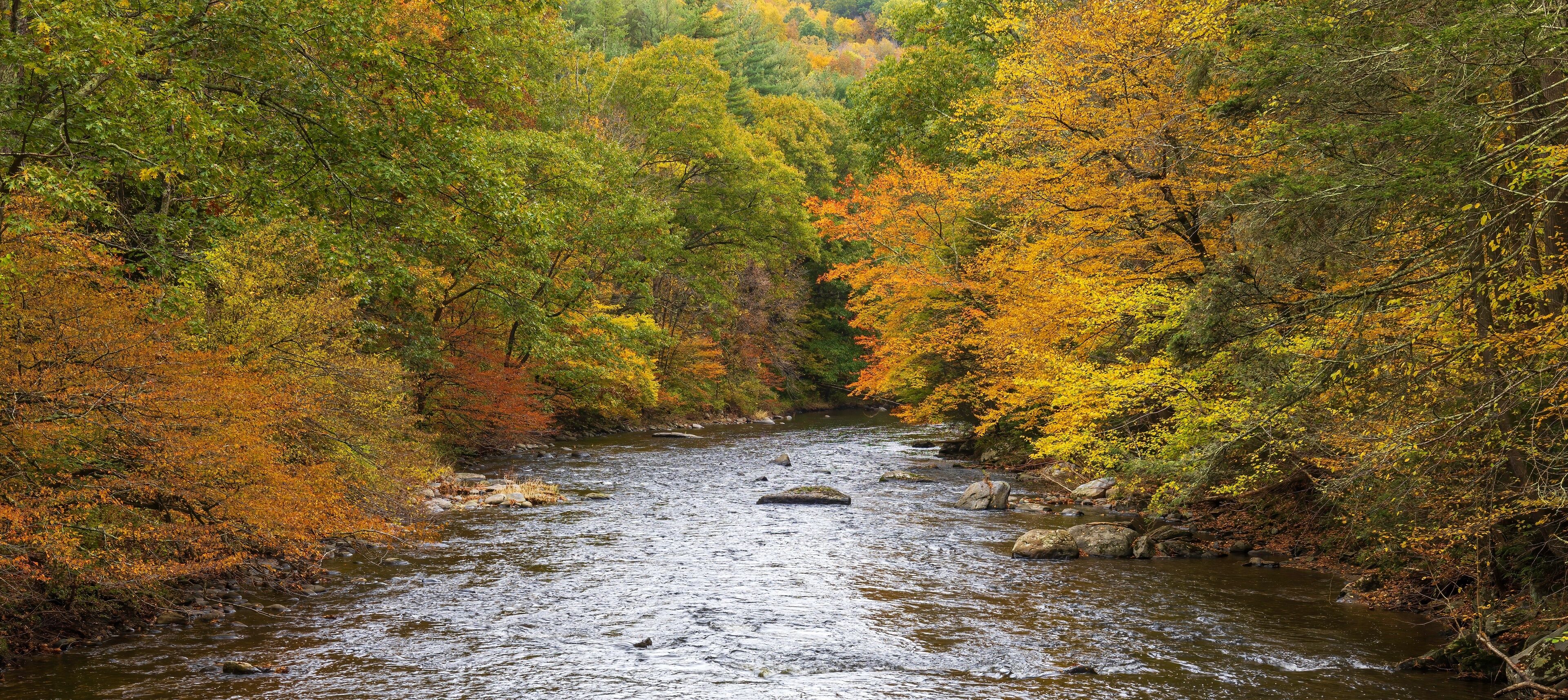 A river flowing through a forest with autumn foliage.