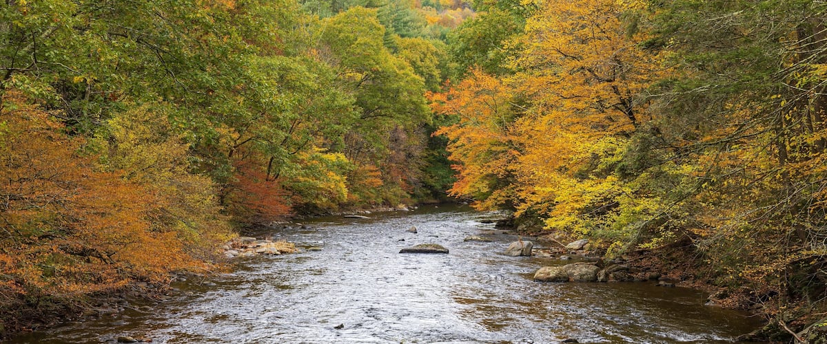 A river flowing through a forest with autumn foliage.