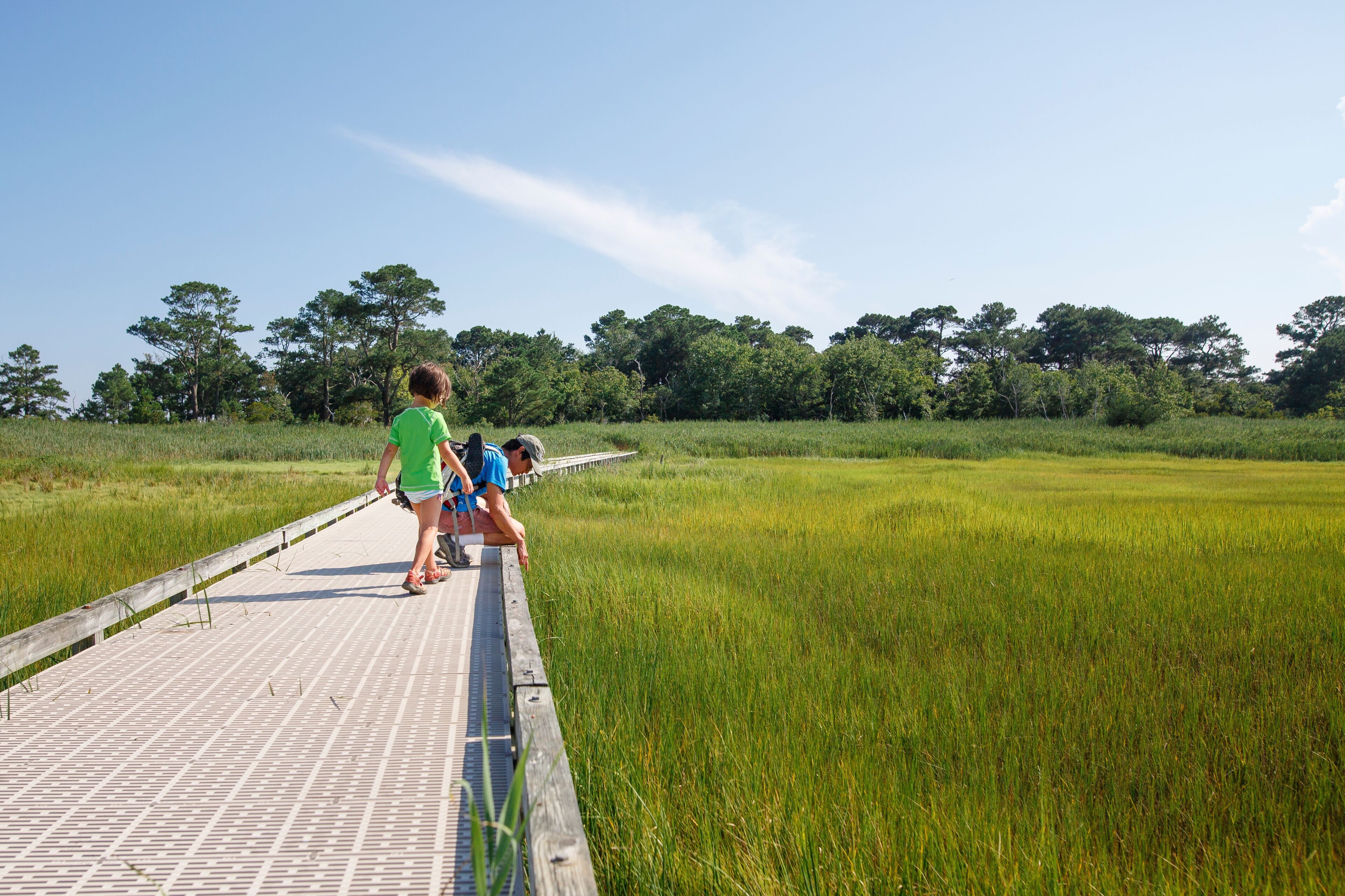 Millsboro