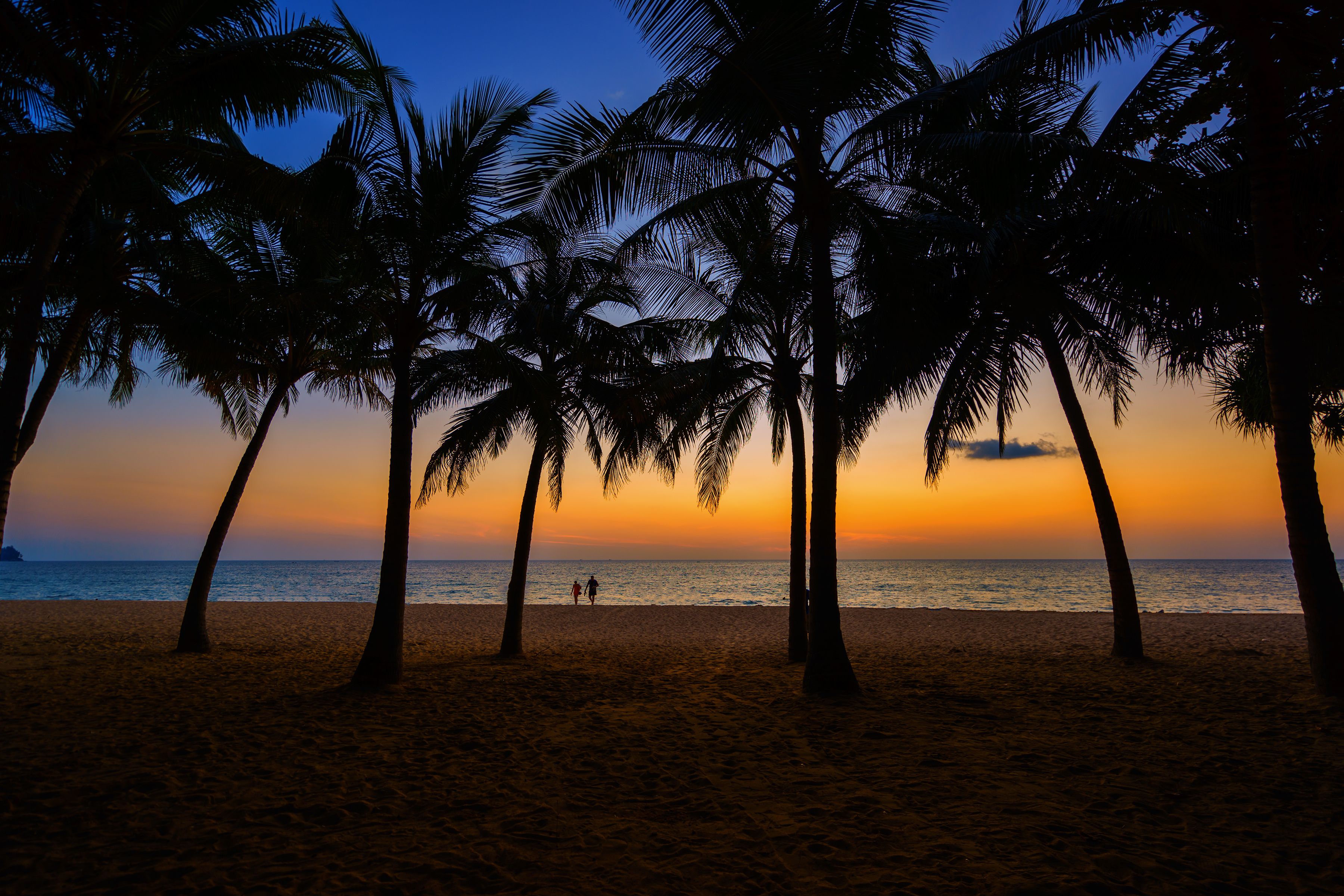 A beach with palm trees silhouetted against a sunset sky.