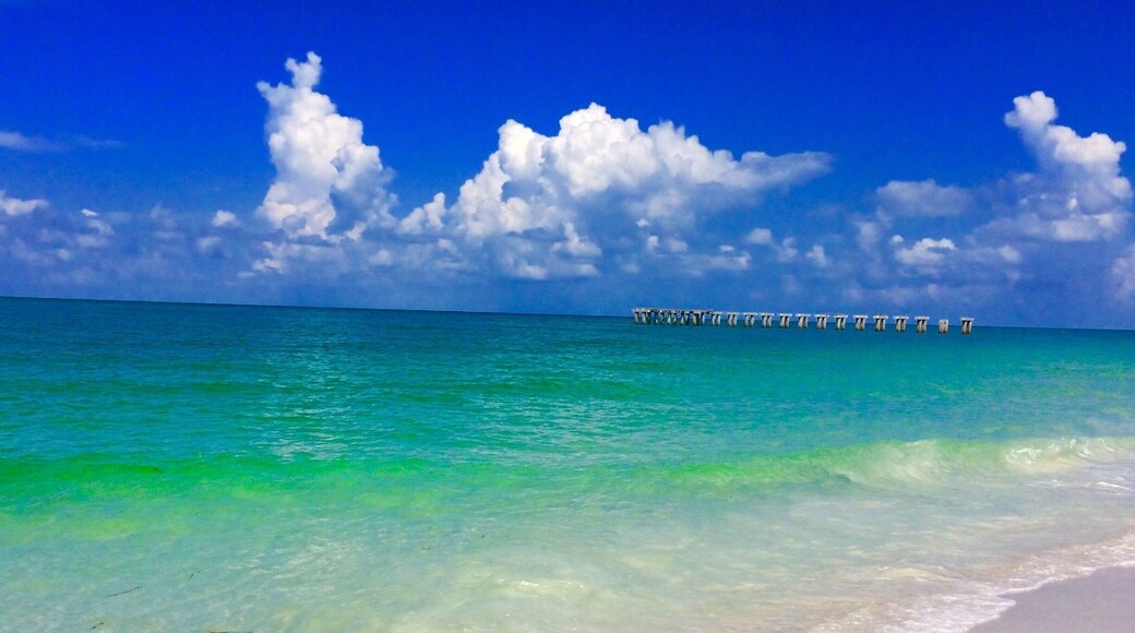 Happiness comes in waves #adventure