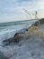 A rocky shoreline with waves crashing against the rocks and a plant in the foreground.