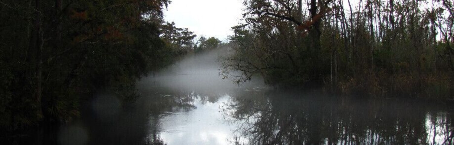 Neat view down the river outside of Callahan, Florida