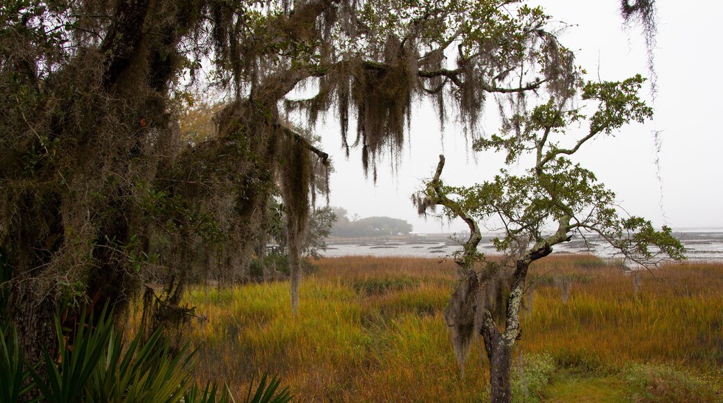 Salt marsh estuary at low tide on Amelia Island, in Nassau County, Florida.
