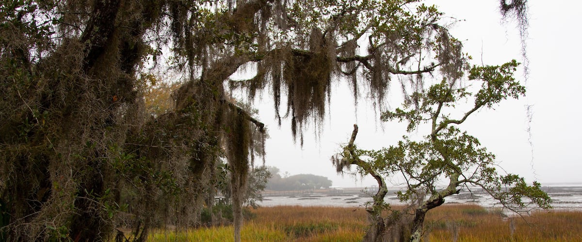 Salt marsh estuary at low tide on Amelia Island, in Nassau County, Florida.
