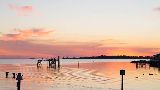 Cedar Key