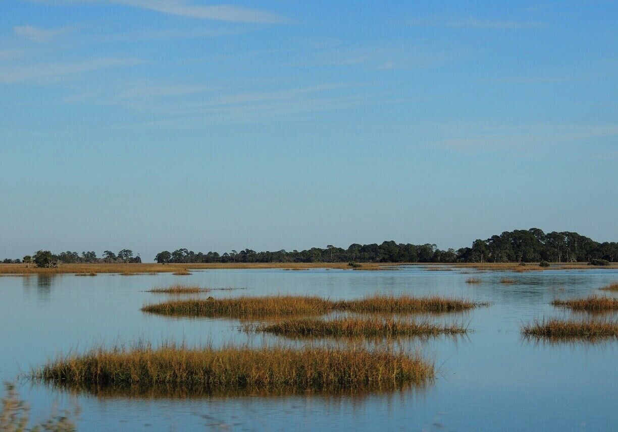 In 1989, eight thousand acres in and around Cedar Key were added to the National Register of Historic Places in an attempt to preserve and protect the marshes and wetlands in Florida.    

An archeological park in the area provides evidence of early man's "shell cultures" that lived along these marshes thousands of years ago.  

It's the perfect place to slip into the water in a kayak (rentals are available in the area) and really experience the rhythm of life up close and personal.  