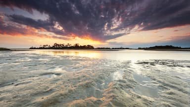 Cedar Key Florida USA