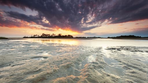 Cedar Key Florida USA