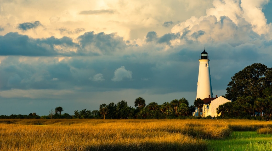 The St. Marks Lighthouse is the second oldest lighthouse in Florida. It was originally built in 1828 and has gone through many reconstruction period including being renovated in 2018. While it is a main attraction, the refuge itself is renown for major bird migrations and for seeing alligators.