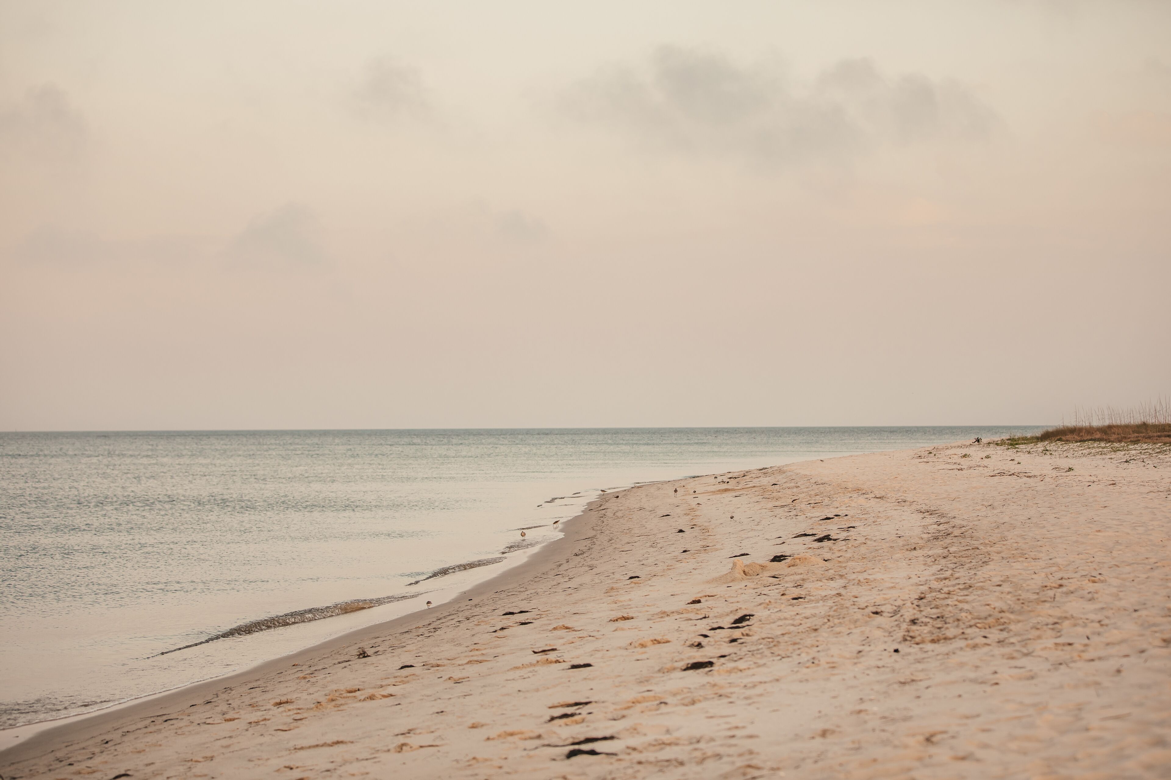 The serene beach on a cloudy sunset in Wakulla, Florida.