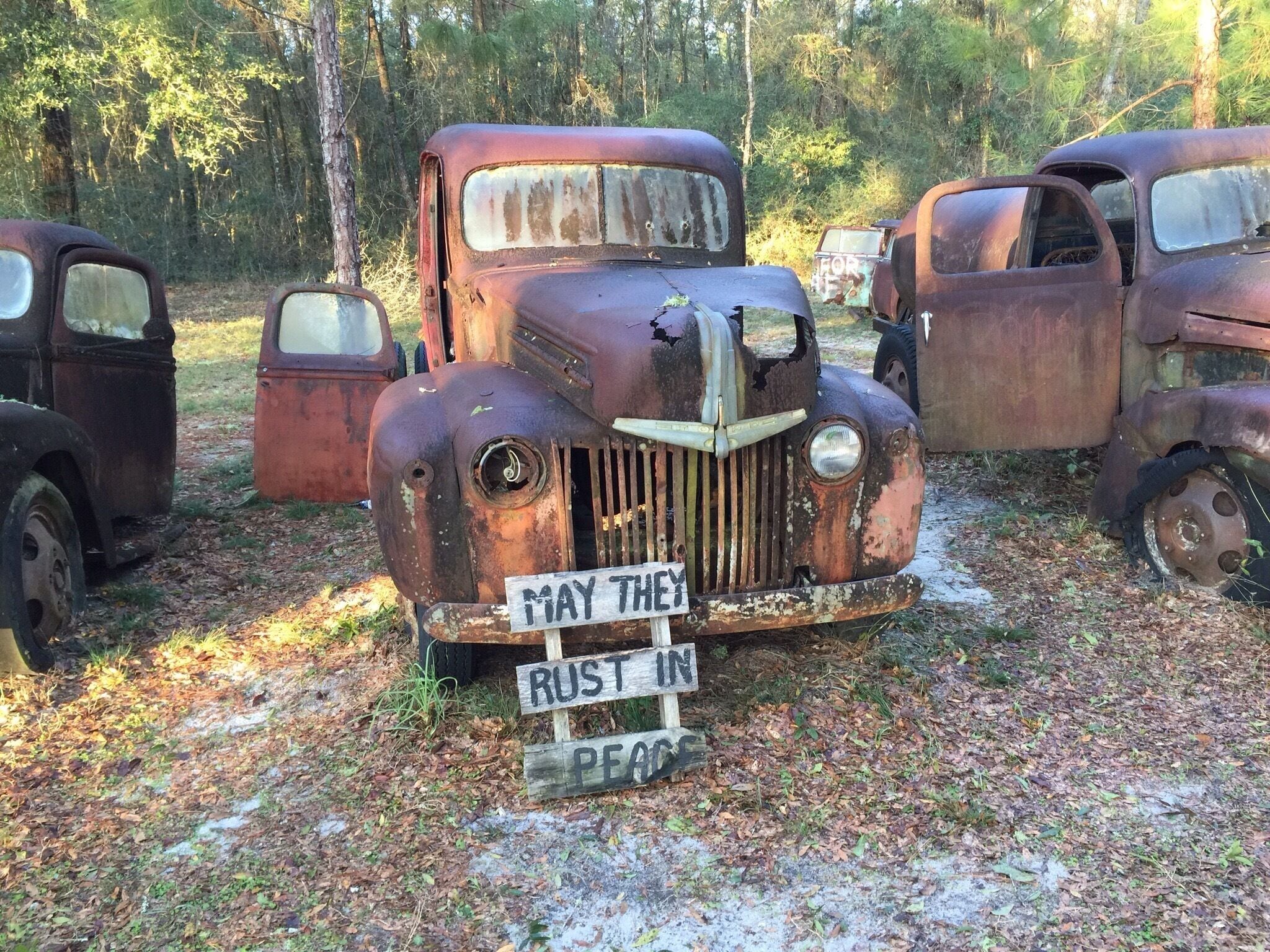 Whoever owns this, has a most unusual hobby. You can see it on the side of highway 319, just south of Crawfordville, Florida.
