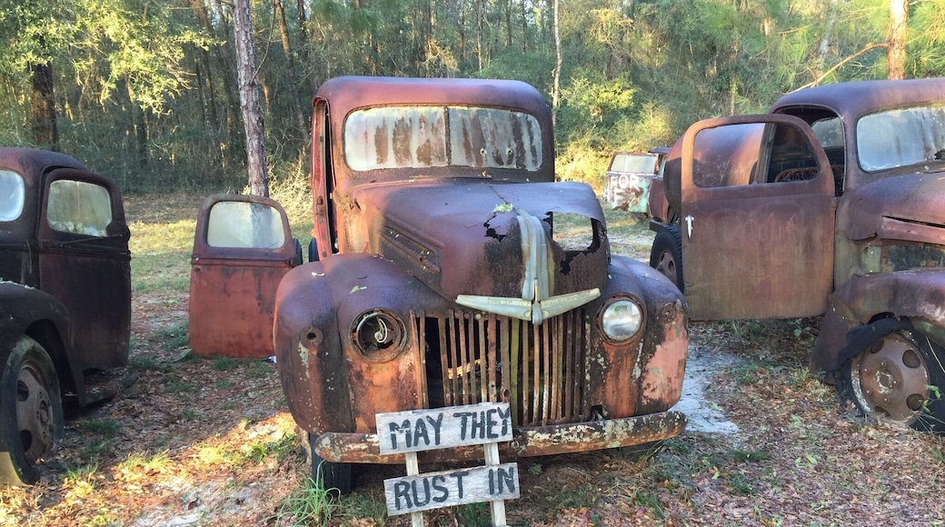 Whoever owns this, has a most unusual hobby. You can see it on the side of highway 319, just south of Crawfordville, Florida.