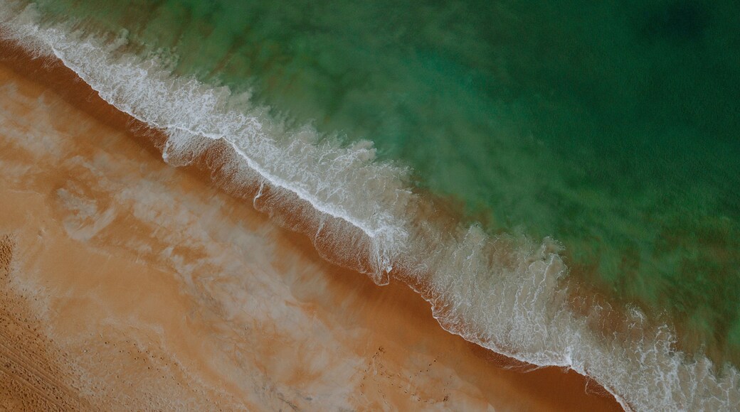 Flagler Beach