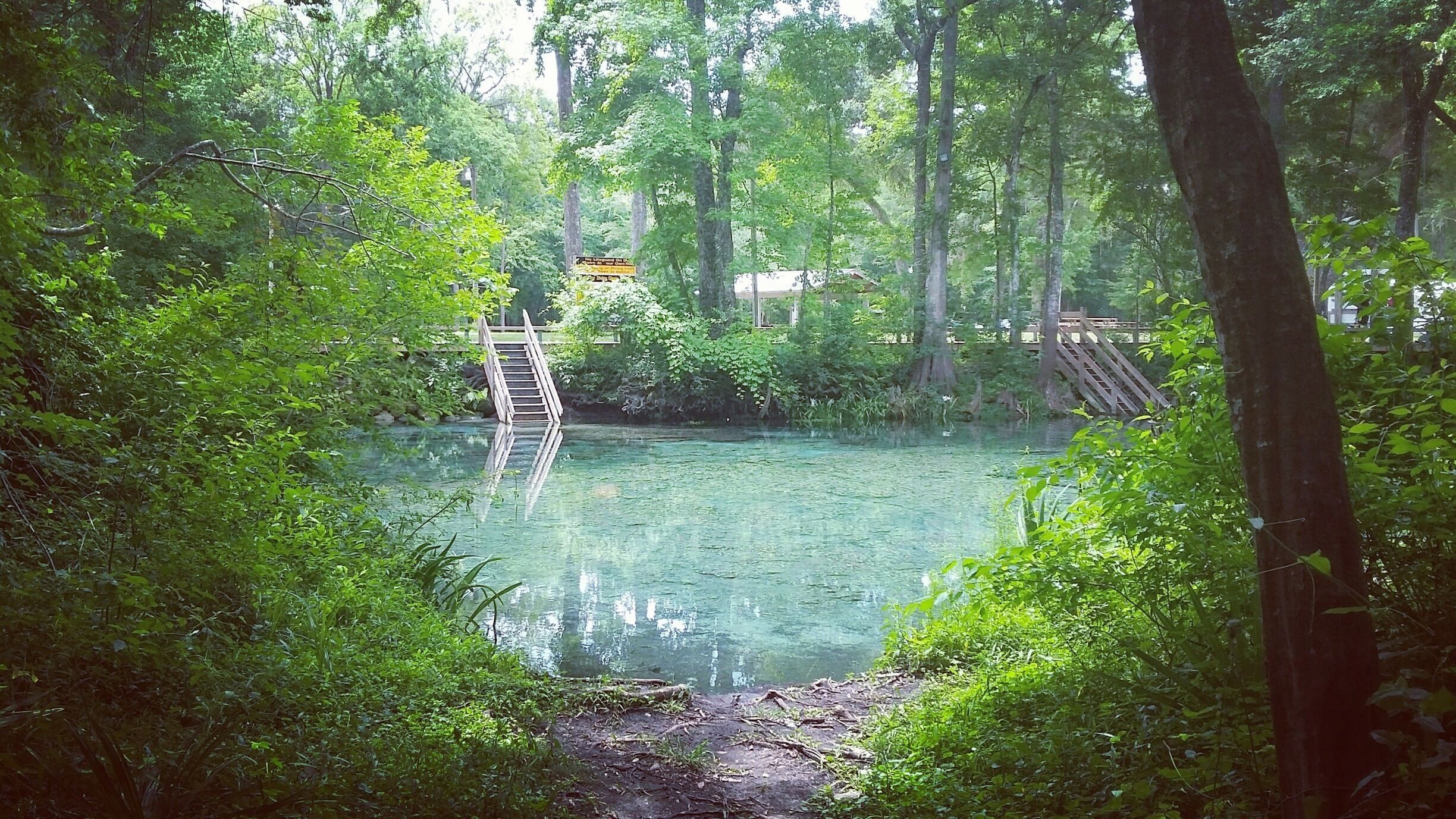 This is one of my favorite places in the world! Jacques Cousteau characterized Ginnie Springs as having "visibility forever". Definitely the clearest water I've ever seen! Perfect spot for #camping, #swimming, #tubing, #snorkeling, and even #cavediving. Read more about Ginnie Springs at  www.gonewanderingweb.com  #Wanderlust #Explore #Travel #NaturalSprings #Florida #StateParks #BestOf5