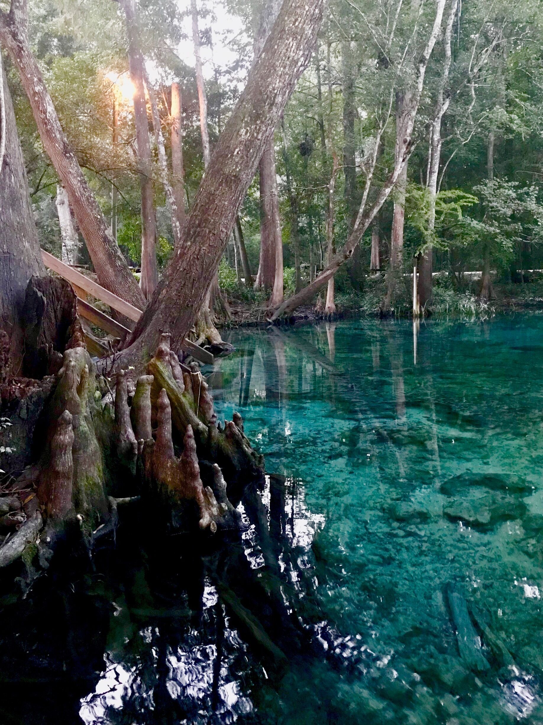 Stopped for a quick glance at the spring right before they were closing. Definitely want to spend more time in a future visit back! 
