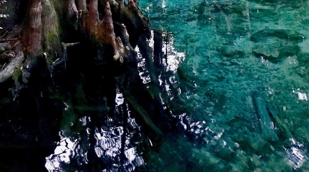 Stopped for a quick glance at the spring right before they were closing. Definitely want to spend more time in a future visit back!