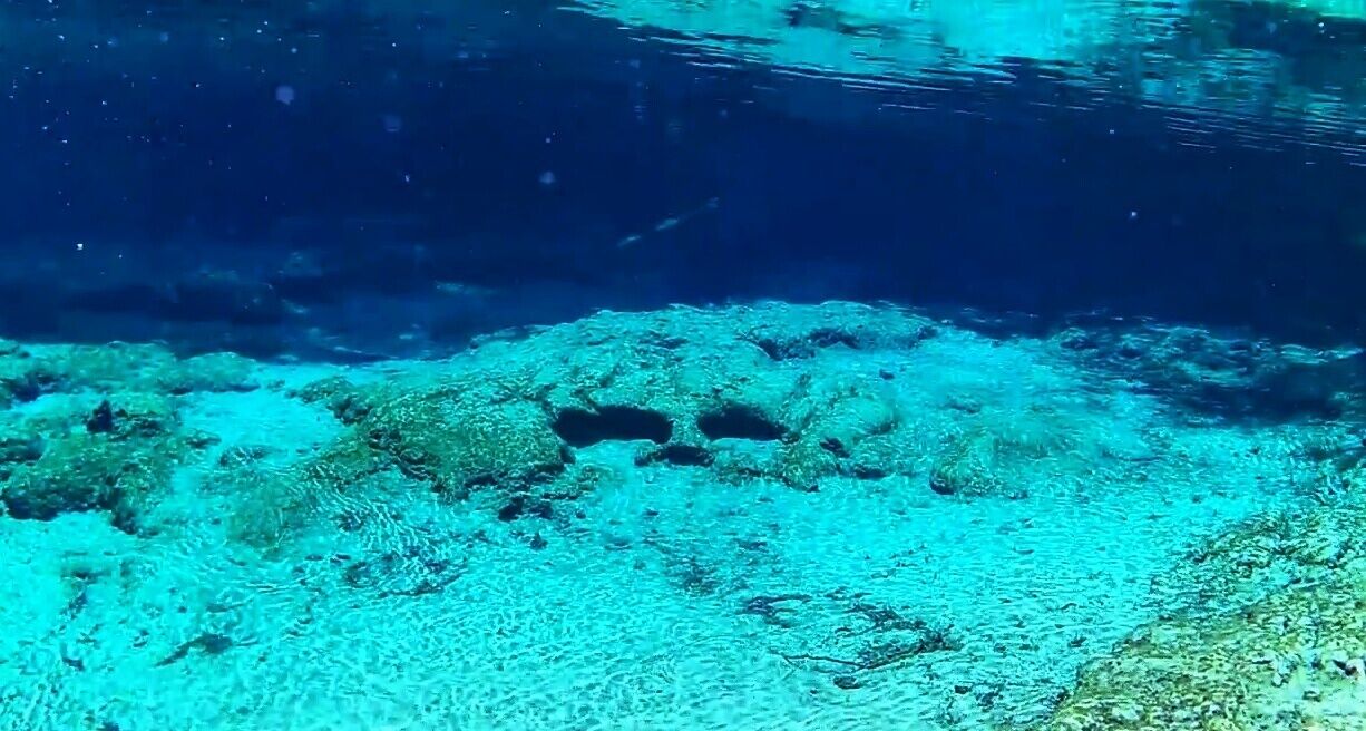 An underwater scene with clear blue water, coral formations, and rocky terrain.