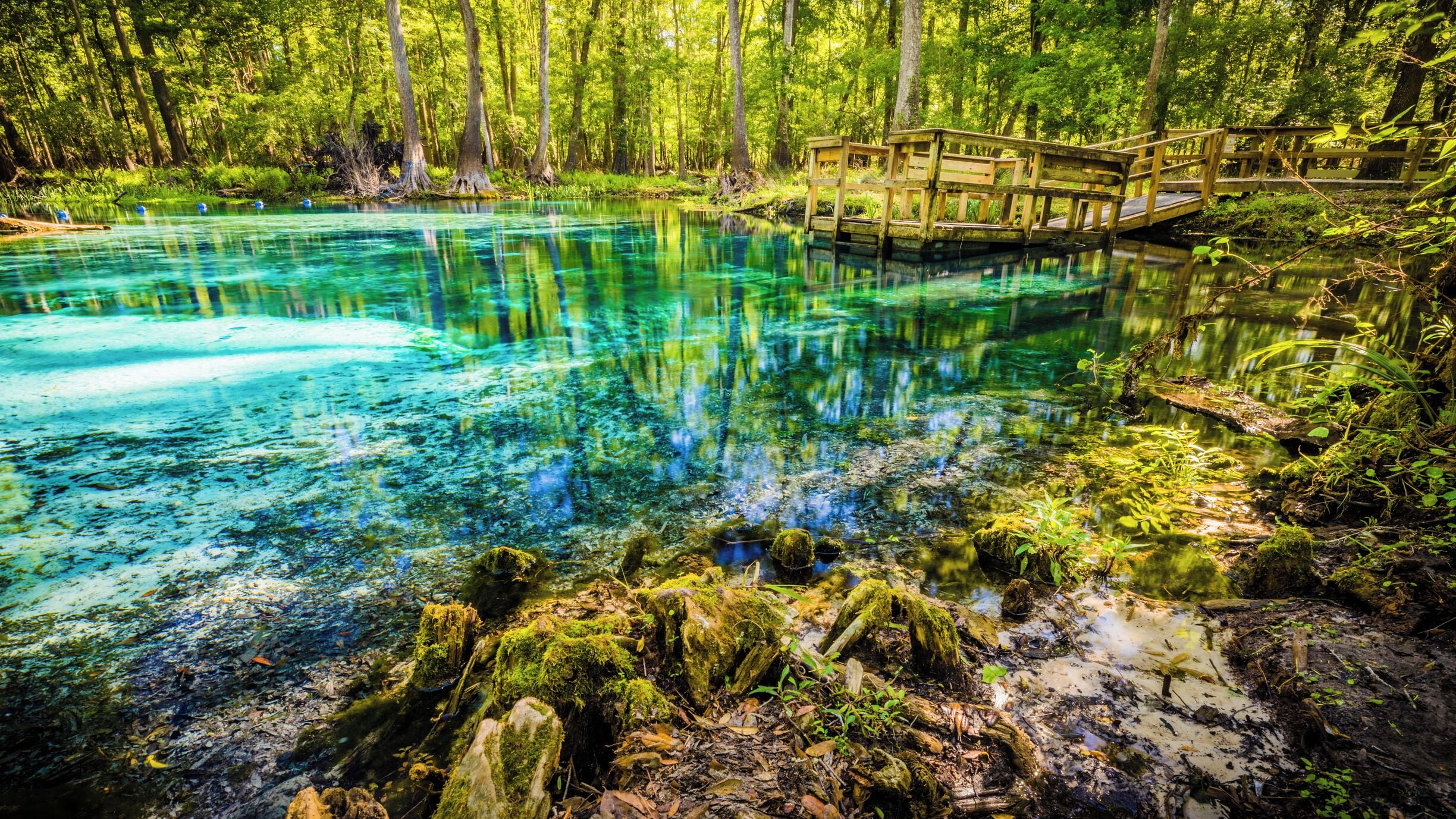 This is a smaller spring adjacent to the main Blue Springs.