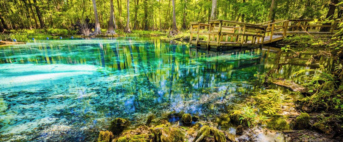 This is a smaller spring adjacent to the main Blue Springs.