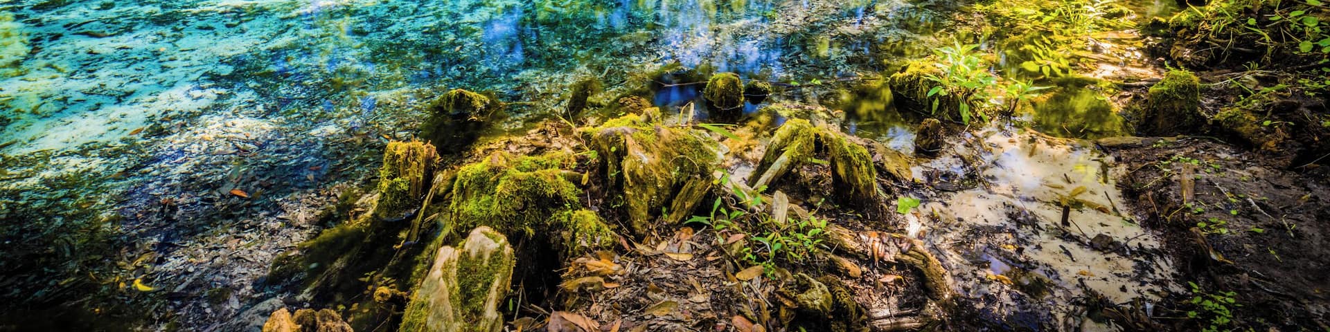 This is a smaller spring adjacent to the main Blue Springs.