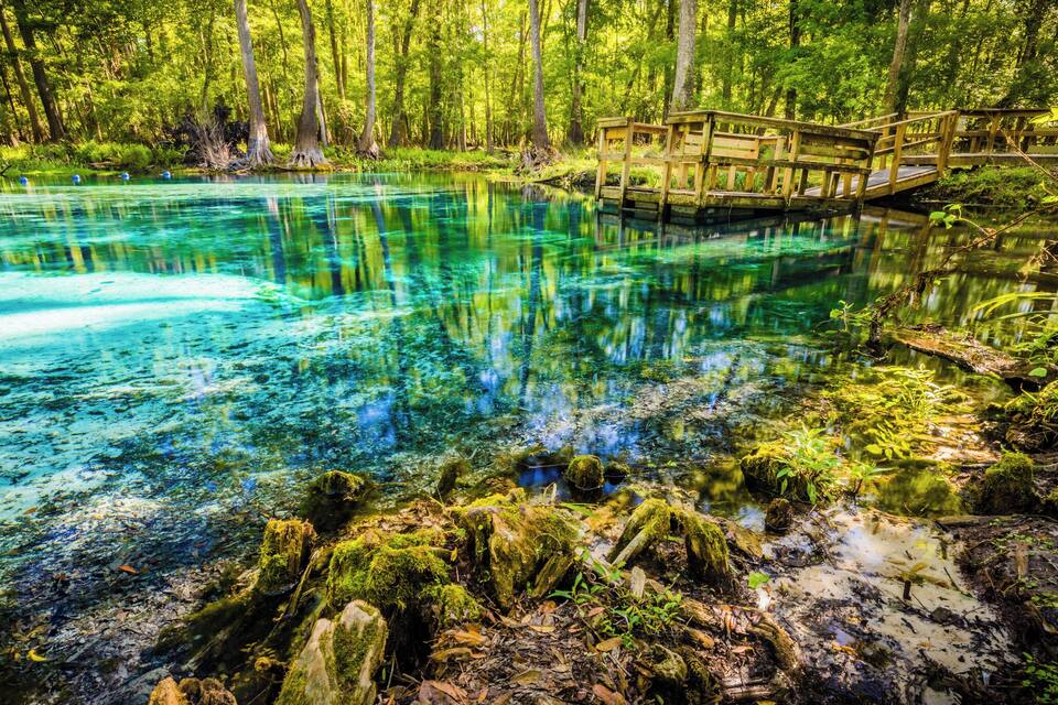 A clear blue lake surrounded by a forest with a wooden bridge.