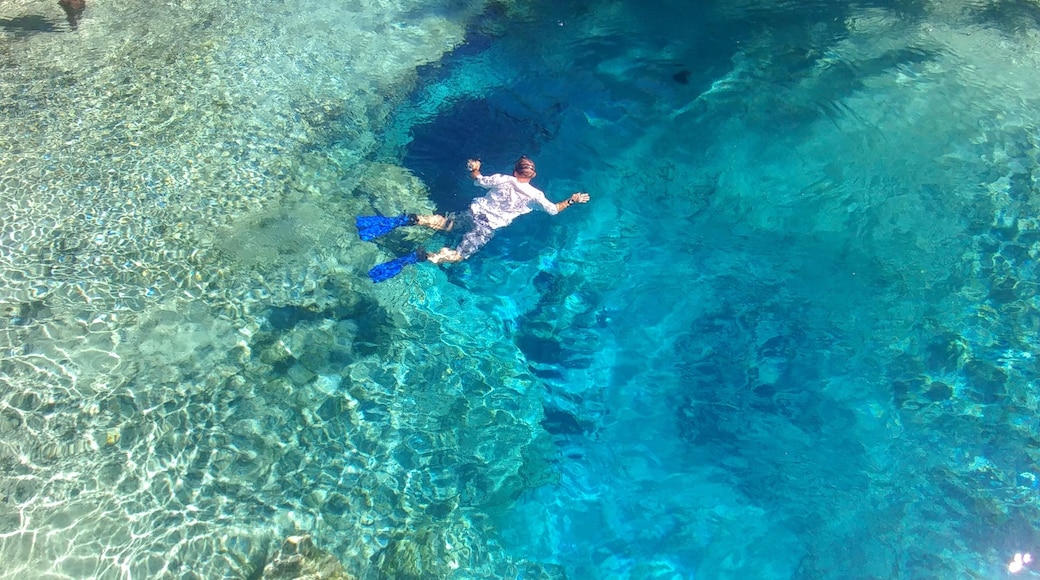 My boyfriend Joe went for an early morning swim in the springs. We were camping in the park for the weekend. I took this from the jumping platform.