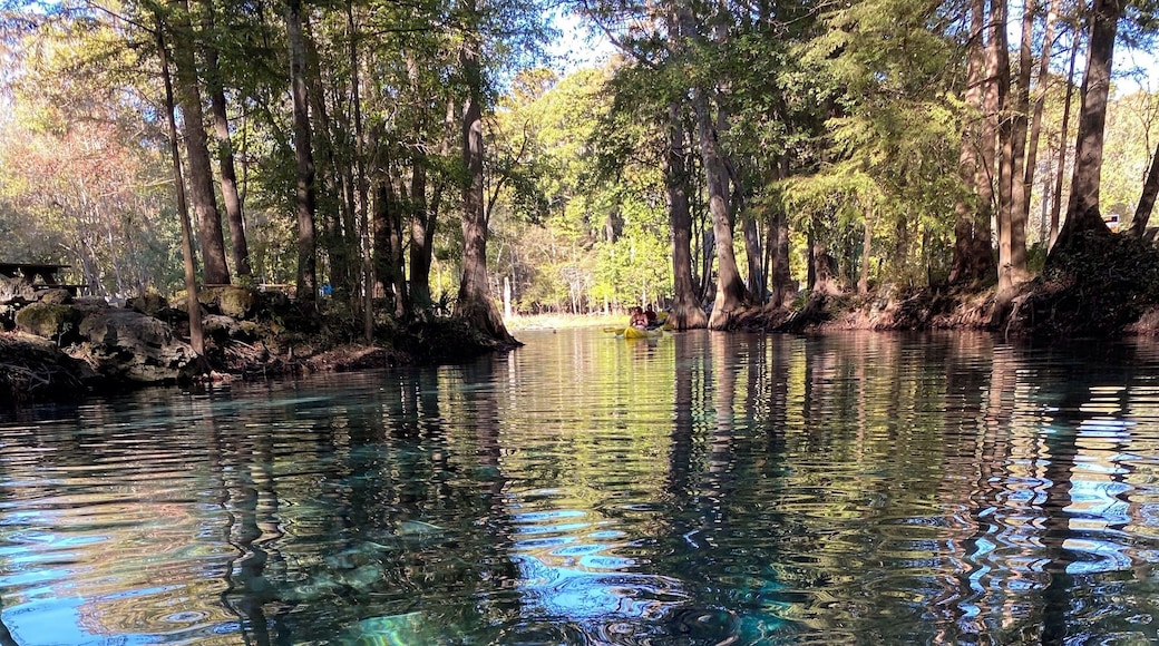 Never experienced something so amazing like this before..It felt like partying in a natural pool ❤️