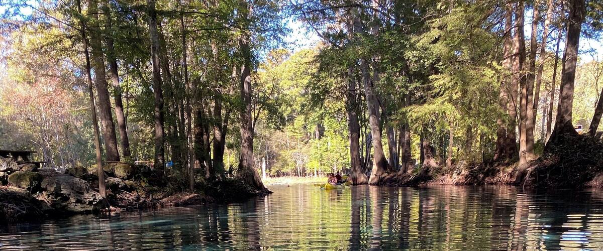 A clear river surrounded by trees.