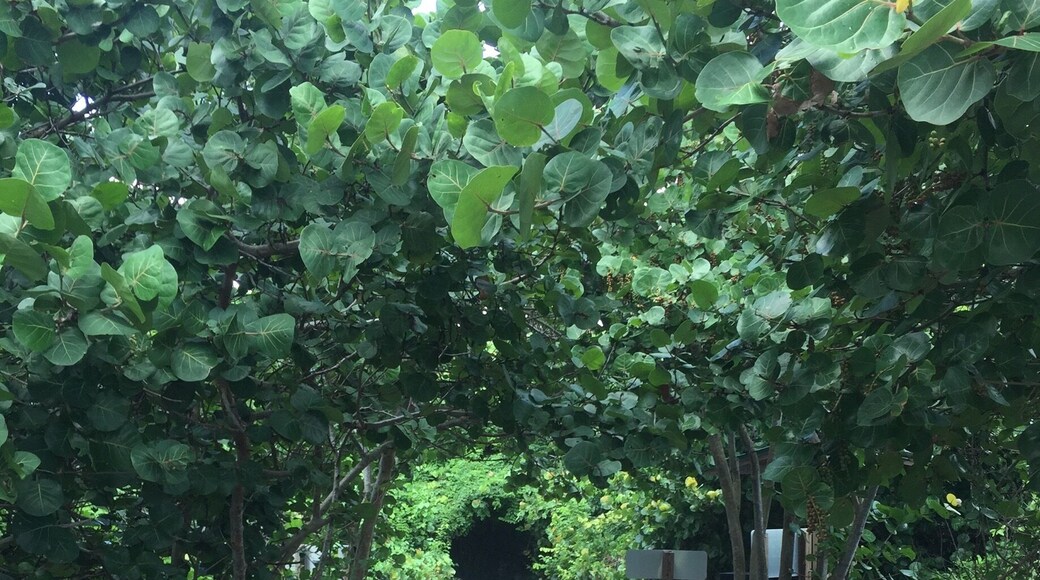 Beach access only by watercraft