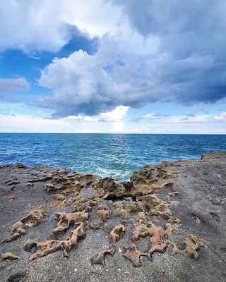 A rocky shoreline with the ocean in the background.