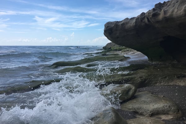 Blowing Rocks Preserve is an environmental preserve on Jupiter Island in Hobe Sound, Martin County, Florida, USA. It is owned by The Nature Conservancy. It contains the largest Anastasia limestone outcropping on the state's east coast.
$2 entry fee per person
#geology #limestone #jupiter #florida #atlantic #rocks #beach #AquaTrove
