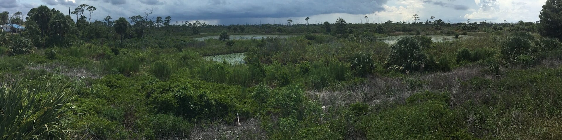 Great park to explore with 2 camping areas, the Loxahatchee River for kayaking and canoeing, cycle trails, equestrian trails, hiking, wildlife galore - former location of Camp Murphy a US Army Signal Corps training site during WWII
#florida #statepark #nature #explore
https://www.floridastateparks.org/park/Jonathan-Dickinson