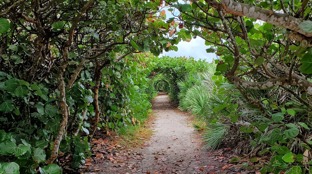 Tunnel to paradise.