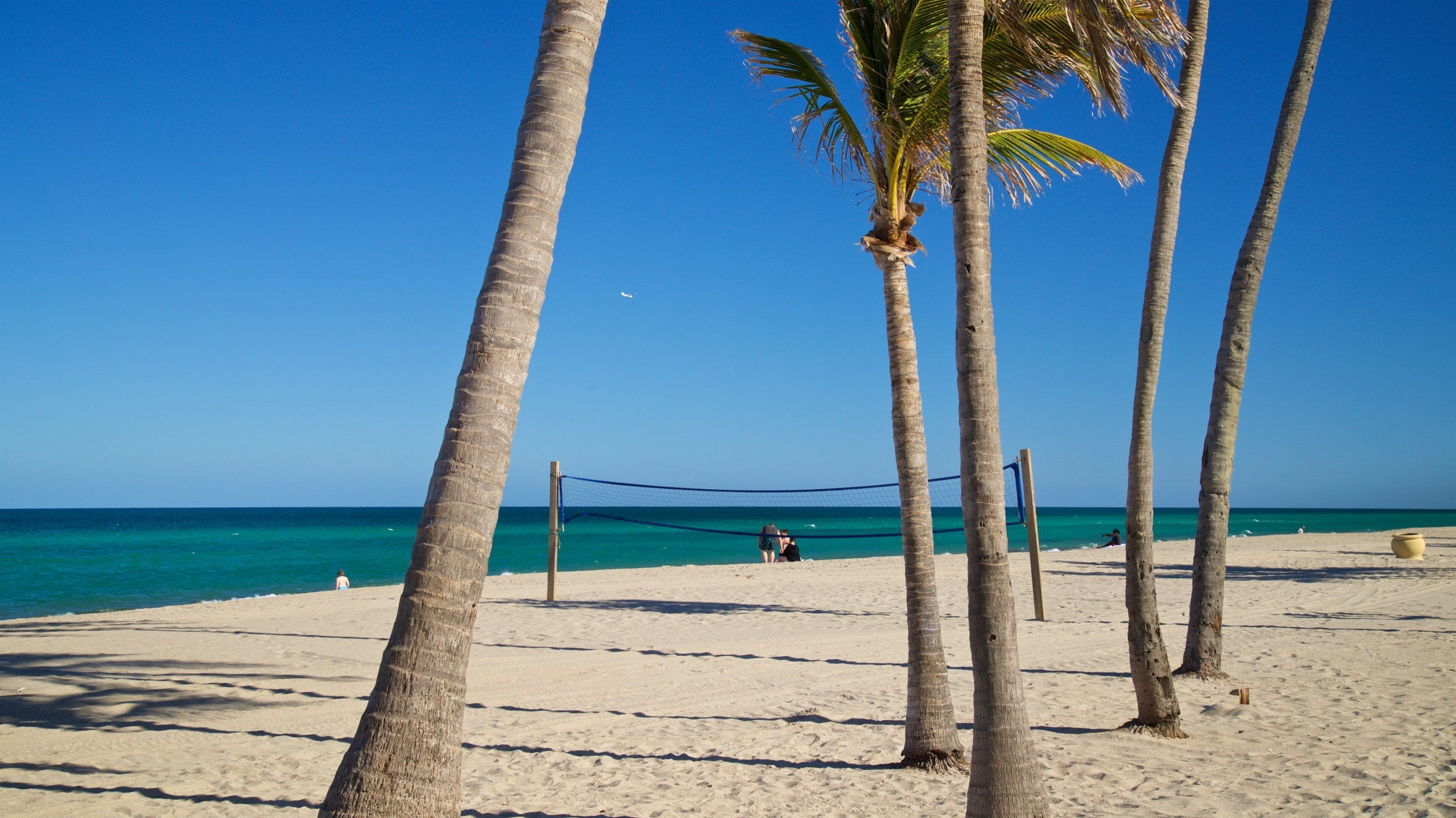 Hollywood Beach showing tropical scenes, general coastal views and a sandy beach