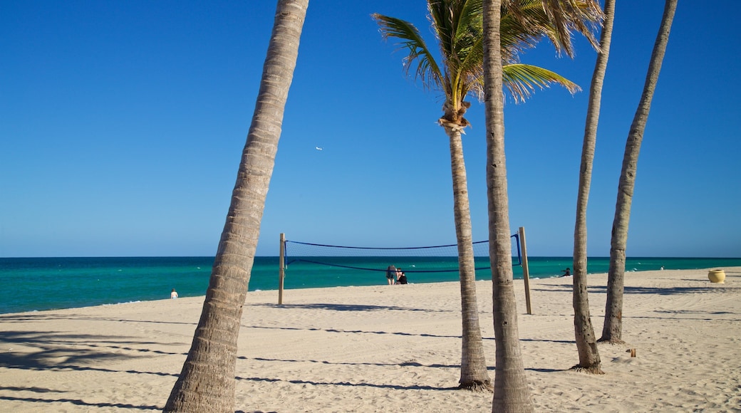 Hollywood Beach showing tropical scenes, general coastal views and a sandy beach