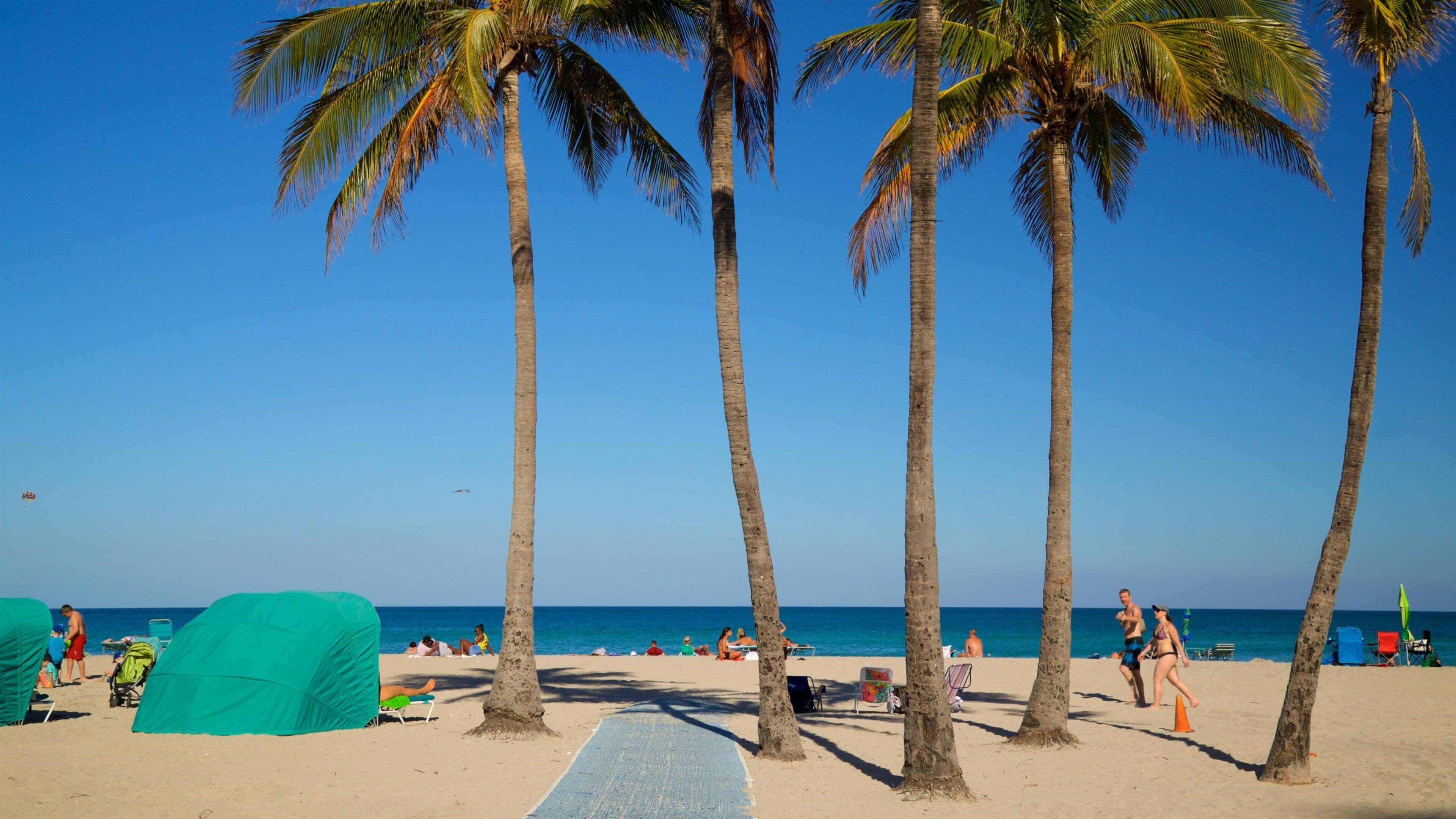 A beach with palm trees, people sunbathing, and the ocean in the background.
