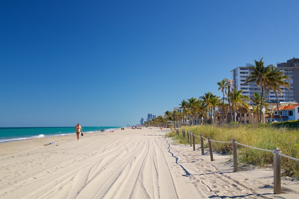 Een zandstrand met voetafdrukken, palmbomen en een helderblauwe lucht.