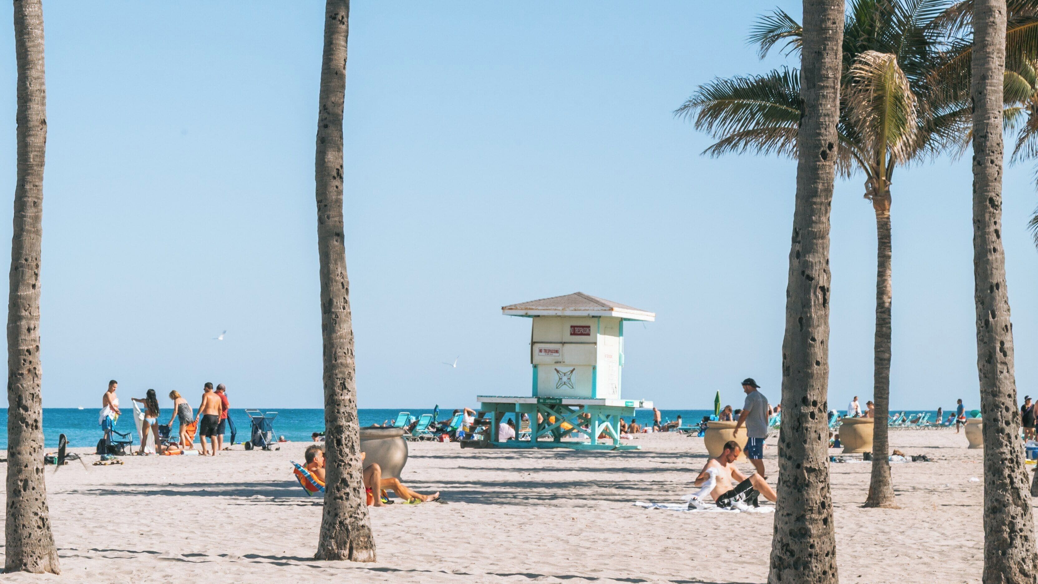 Relaxing day at Hollywood Beach, Florida with vibrant palm trees and sunbathers enjoying the beautiful coast