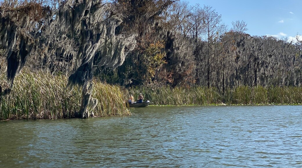 Little Lake Harris is a 2743 acre, Public lake located in Astatula, Tavares, and Howey-in-the-Hills in Lake County. fishing in this lake